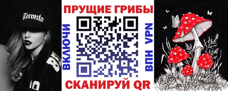 Галлюциногенные грибы ЛСД  купить наркотик  Будённовск 