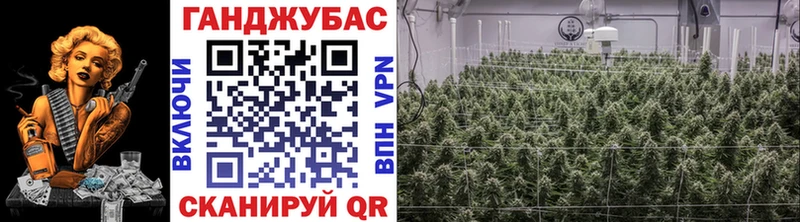 где купить наркотик  Будённовск  Каннабис конопля 